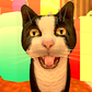Cat Freddy