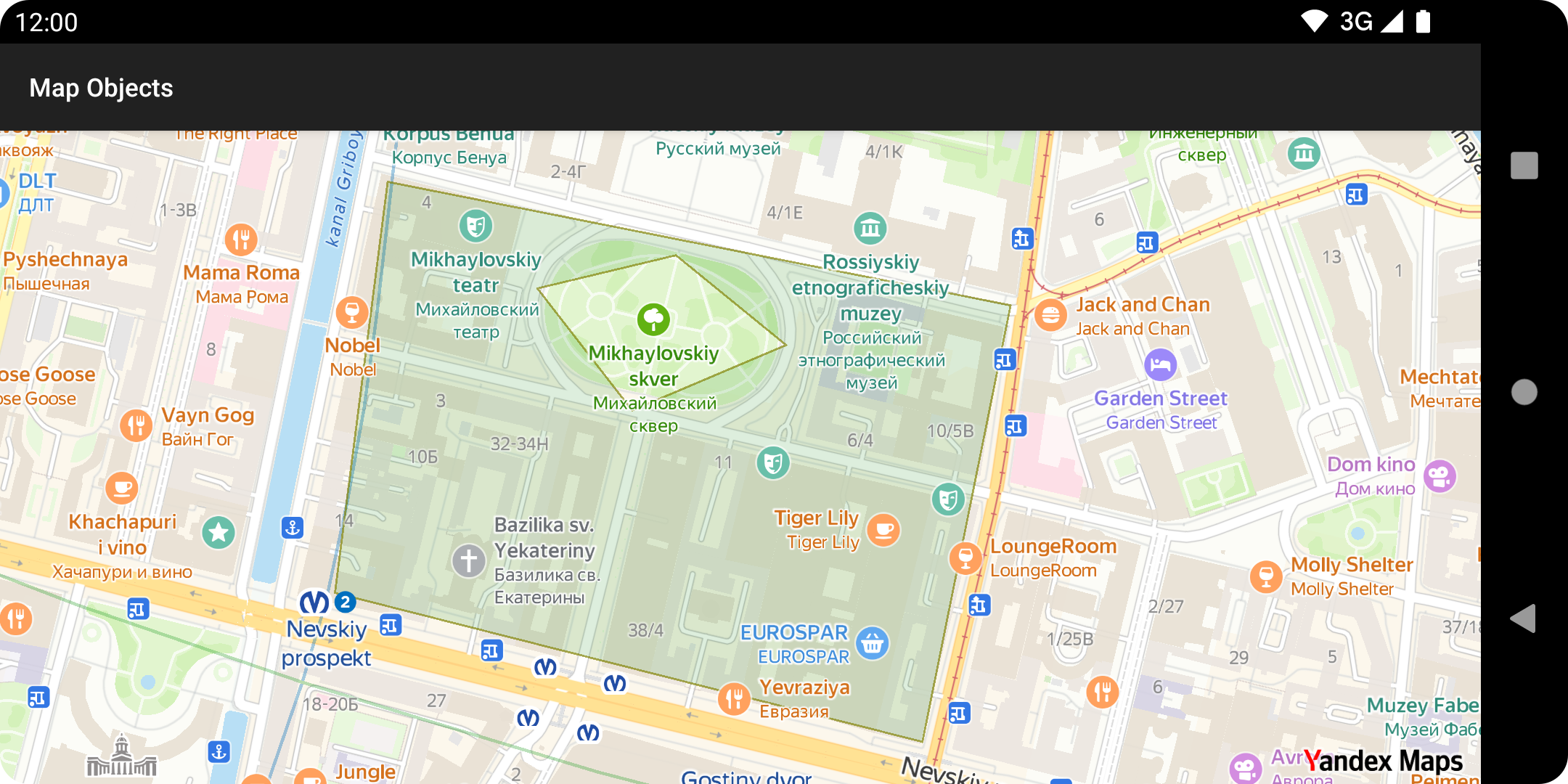Map with styled polygon