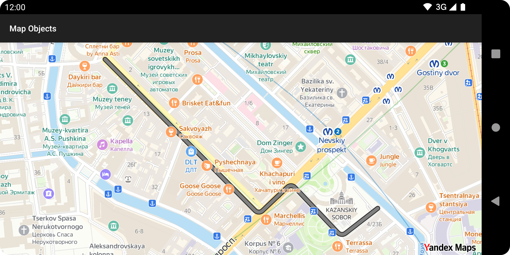 Map with the added polyline