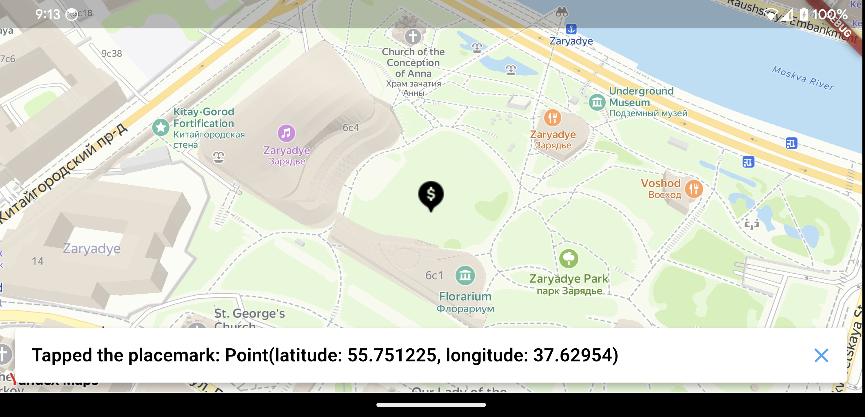 Map after placemark was tapped