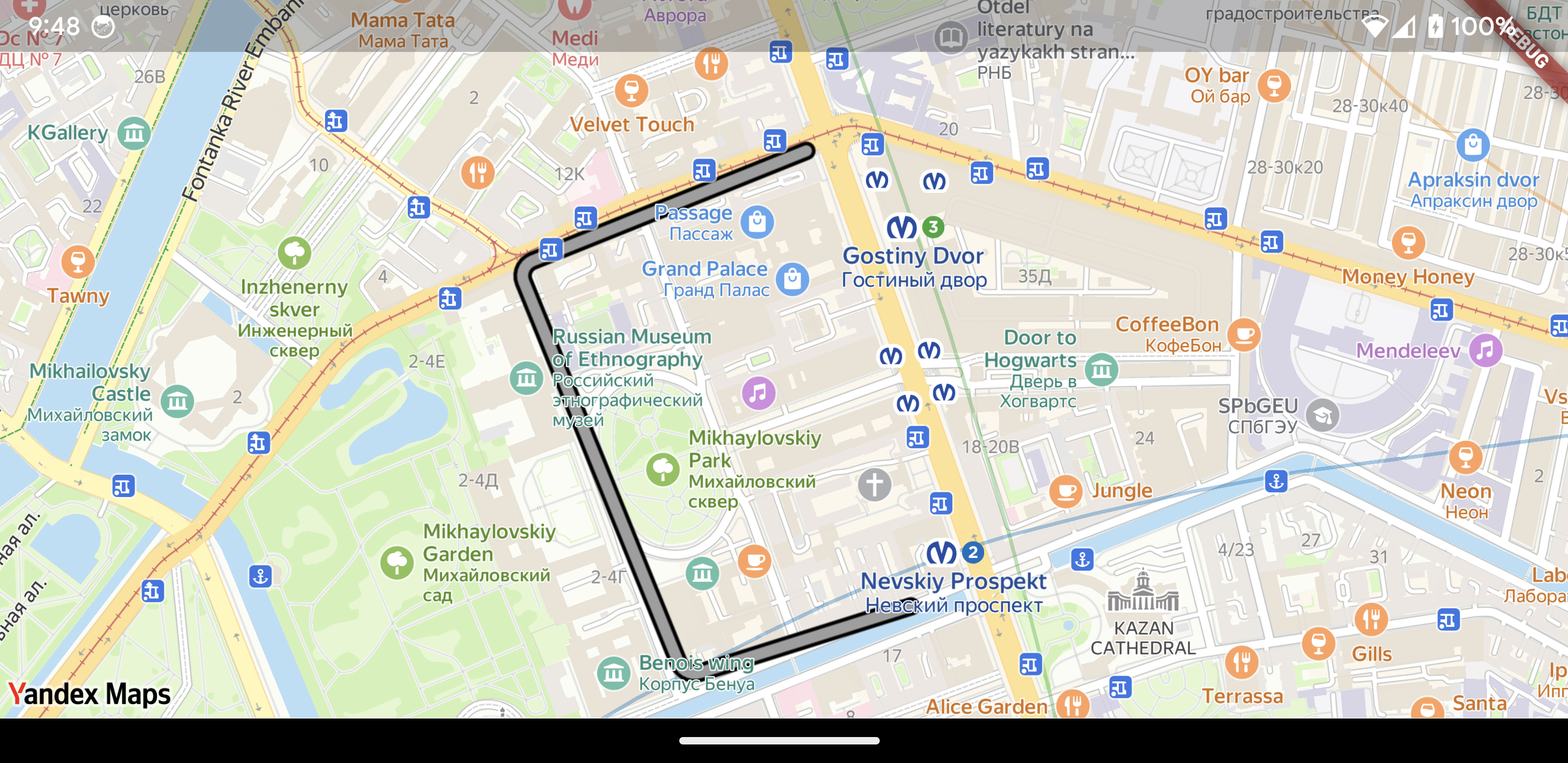 Map with the added polyline